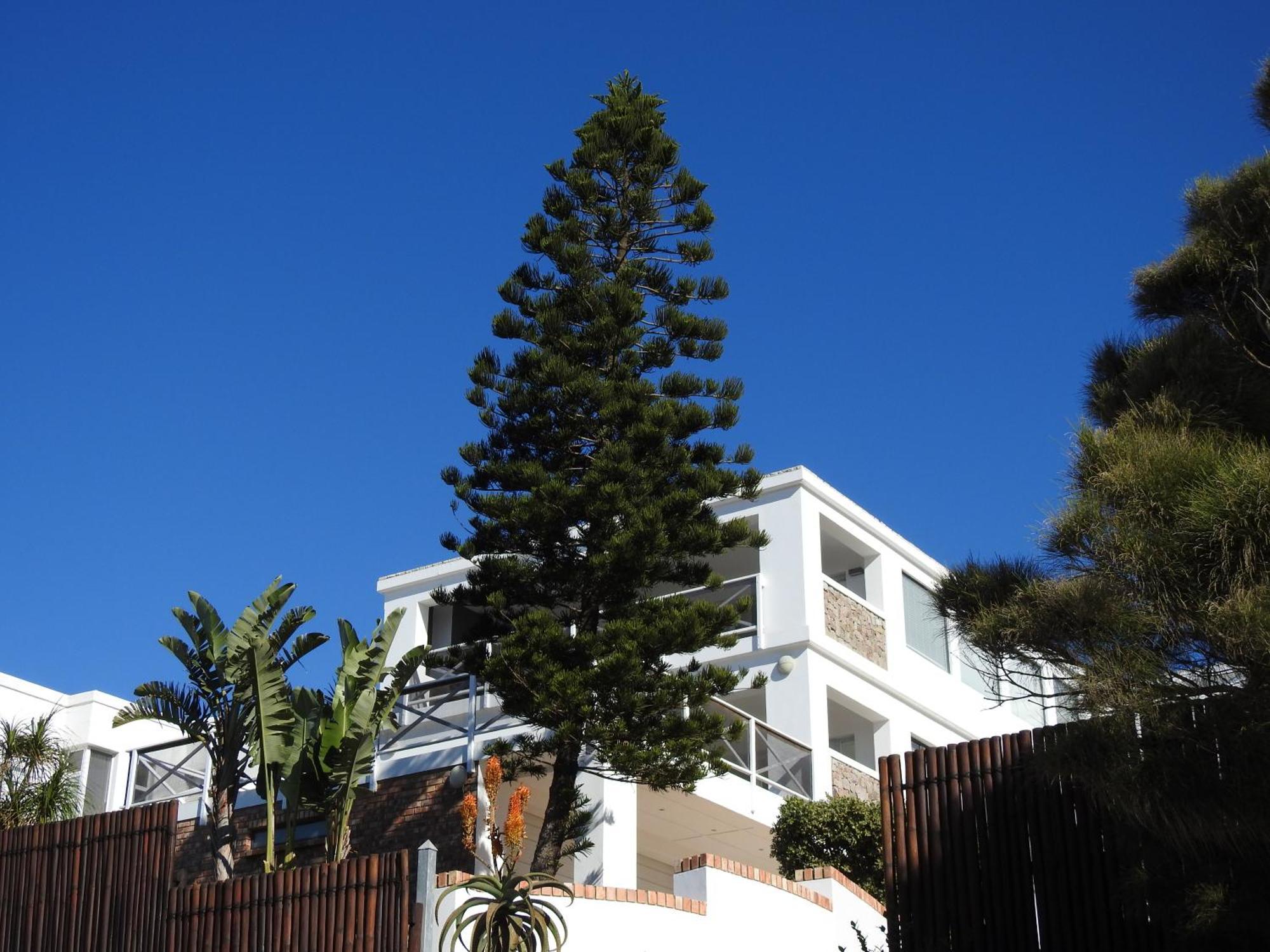 Apartmán Surfstar At Mimosa Jeffreys Bay Exteriér fotografie